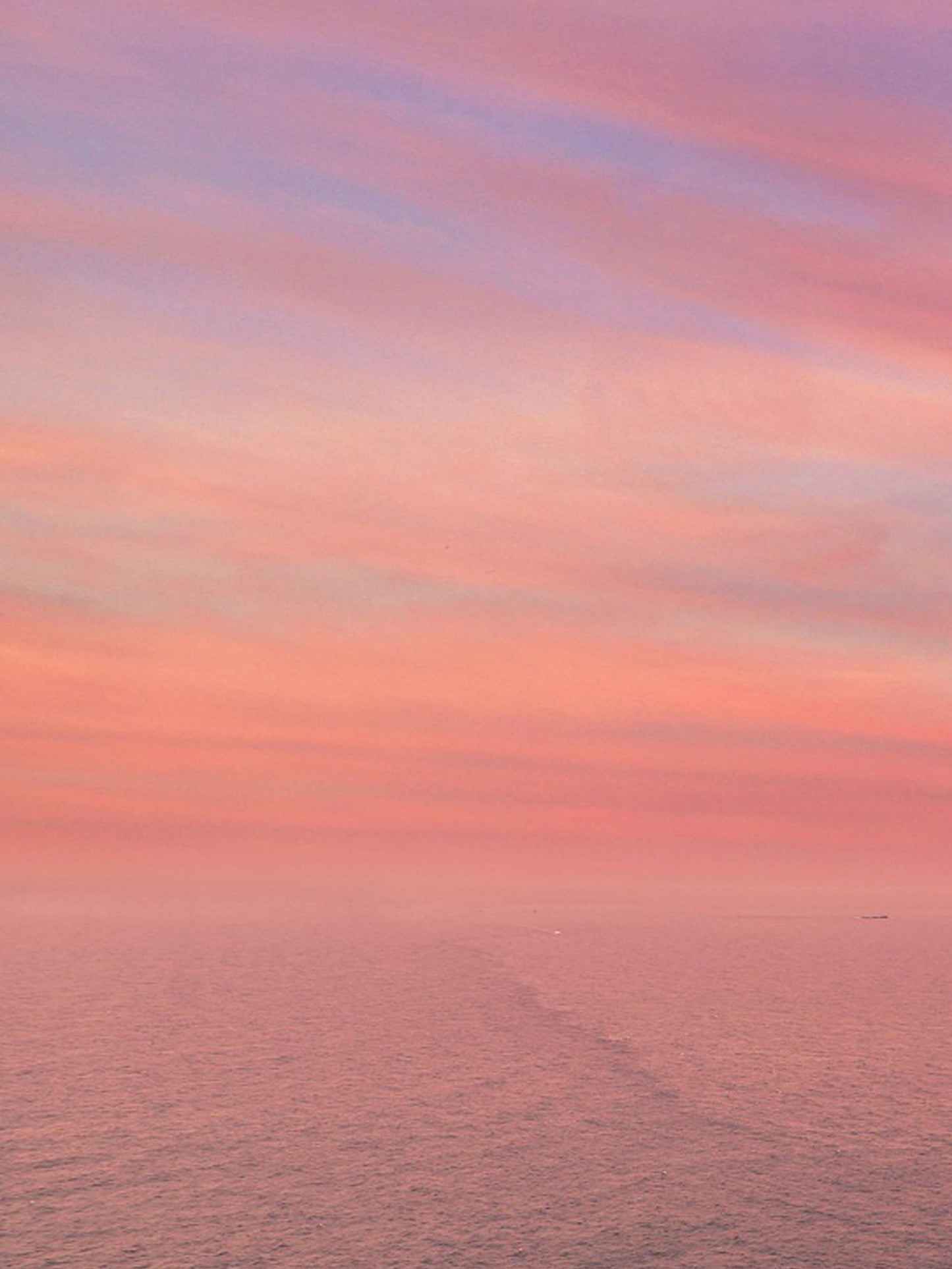 ビタミンCoQ10（ユビキノン） クリーム（モーリシャスの花の香）